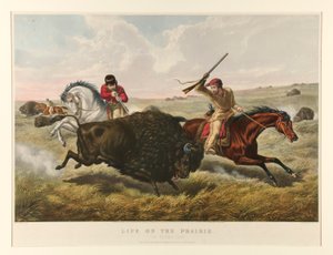 Leben auf der Prärie: Die Büffeljagd von Currier and Ives