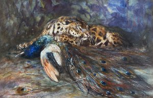Jaguar mit Pfau