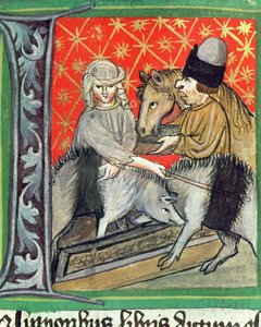 Schweine- und Pferdezucht, aus Opus Ruralium Commodorum von Pietro de Crescenzi (1230-1321) von Czech School