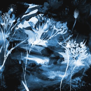 Blaue Blumen von Dan Hobday