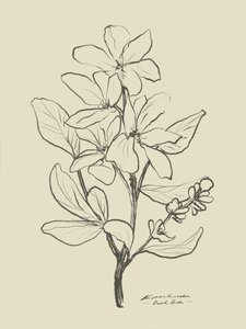 Floral 1 von Dan Hobday