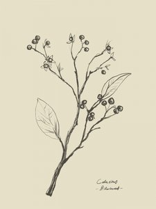 Floral 2