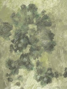 Neblige Blumen 2