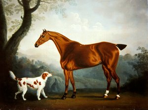 Bay Hunter und Spaniel in einer bewaldeten Landschaft