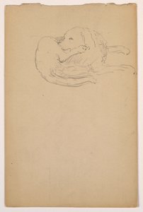 Zeichnung, Dash (ein Setter), ca. 1862 von Daniel Huntington