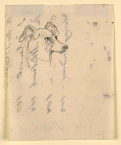 Hundekopf, wahrscheinlich Milo (ein Pointer), ca. 1862