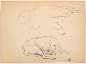 Milo (ein Pointer), Mehrere Studien von Daniel Huntington