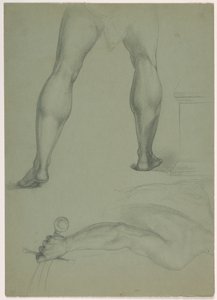 Zwei anatomische Studien, ca. 1850