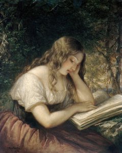 Studie im Wald