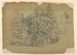 Studie von Bäumen, North Conway, New Hampshire von Daniel Huntington