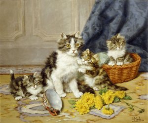 Verspielte Kätzchen von Daniel Merlin