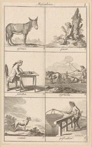 Masculina I von Daniel Nikolaus Chodowiecki