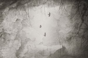 Ätherische Vögel Winterflug von Daniela Riegler