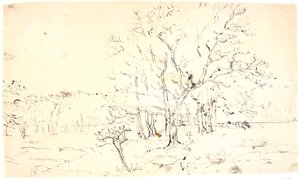 Landschaft mit Bäumen