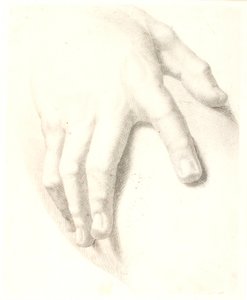 Studie einer Hand