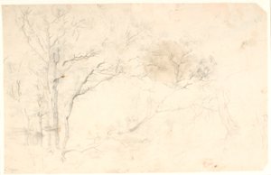 Holzstudien von Dankvart Dreyer