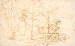 Aussicht aus einem Wald über Heide und Hügel