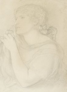 Studie von Fanny Cornforth, 1863 von Dante Gabriel Charles Rossetti