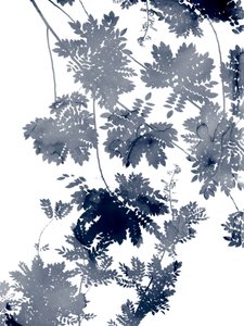 Tiefe Ökologie 1 Blau-Grau