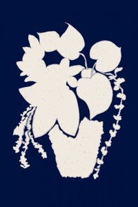 Elegante Topfpflanzensilhouette