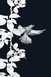 Ätherischer Vogel und Blätter von Danushka Abeygoda