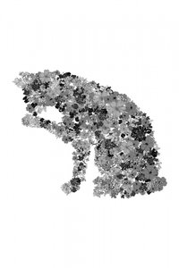 Florale Katzensilhouette