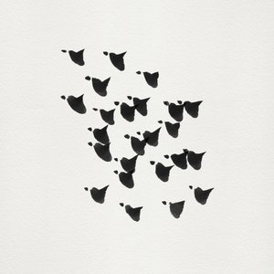 Minimalistische Vogelflug von Danushka Abeygoda