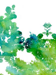 Lebendige Aquarellblätter