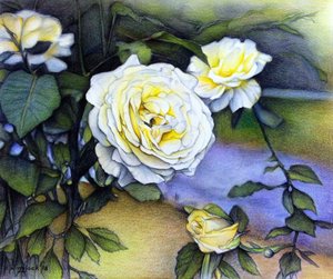 Alberta Rosen in Blüte, 2018 von Darrell Windjack