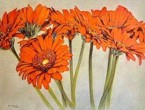 Orange Burst, 2019