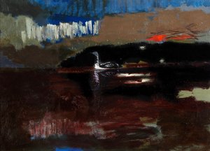 Prachttaucher von David Alan Redpath Michie