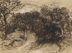 Ein hohler Weg in der Nähe von Harborne, Derbyshire (schwarze Kreide mit weißen Akzenten und etwas brauner Waschung) von David Cox