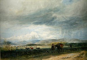 Ludwea Wiesen von David Cox