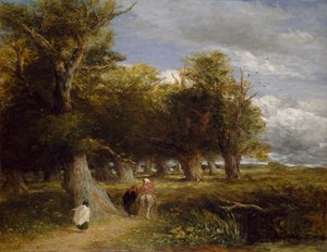 Ränder des Waldes, 1855 von David Cox