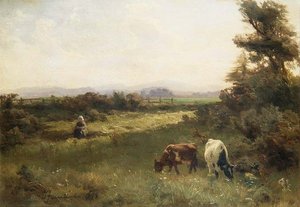 Ein Sommernachmittag in der Nähe von Blairgowrie