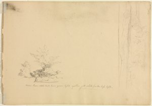Landschafts- und Baumstudien verso von David Johnson