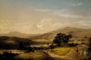 In der Nähe des Squam-Sees, New Hampshire, 1856 von David Johnson
