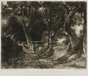 Ein Tal, Helmingham Park, Suffolk von David Lucas