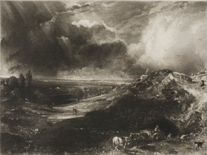 Eine Heide von David Lucas