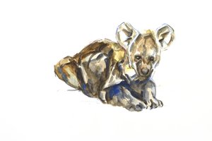 Hyänenjunges von David Mayer