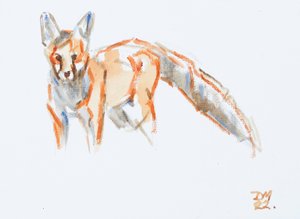 Rotfuchs, 2022 von David Mayer