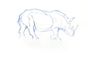 Weißes Nashorn, 2020 von David Mayer