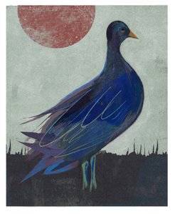 Taubenblues