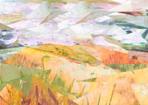 Sommerfelder von David McConochie