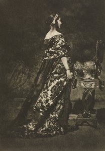 Camera Work: Porträt - Das Kleid und der Sarg, 1909 von David Octavius Hill