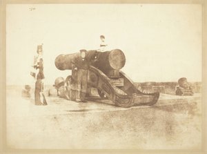 Die Kanone 