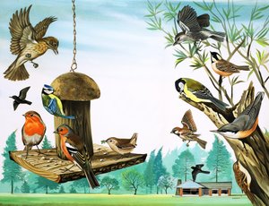 Alle möglichen Vögel um den Gartentisch, Illustration aus 