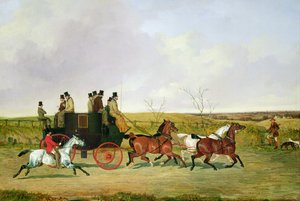 Pferd und Kutsche von David of York Dalby