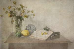 Zeitloses Stillleben von Deborah Gugeri