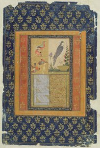 Vogelstudie und Kalligraphie, Golconda, Andhra Pradesh, 1570 von Deccani School